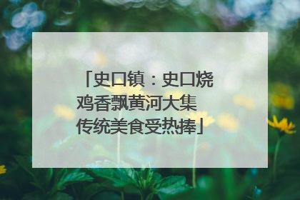 史口镇：史口烧鸡香飘黄河大集 传统美食受热捧